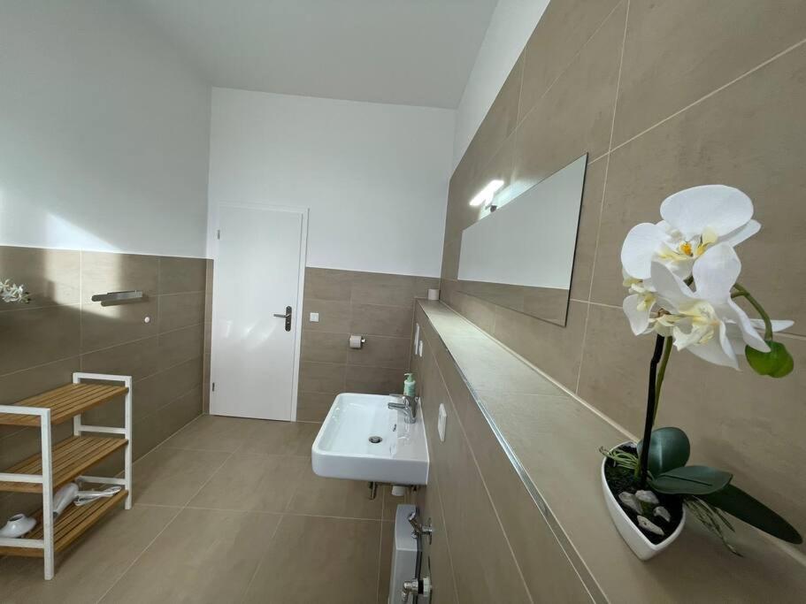Lucky Stays Ls10 - Vollausstattung - Zentrum - Aufzug - Grosse Kueche - 2 Zimmer - Smart-Tv Magdeburg Bagian luar foto